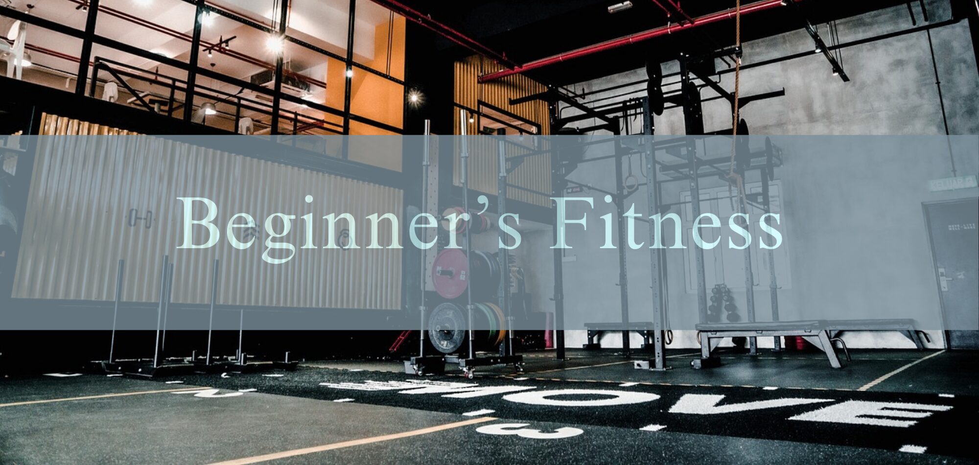 Beginner's FIT(ビギナーズ フィット)